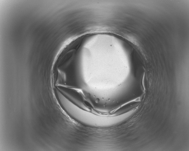 X0000061151472200512022301