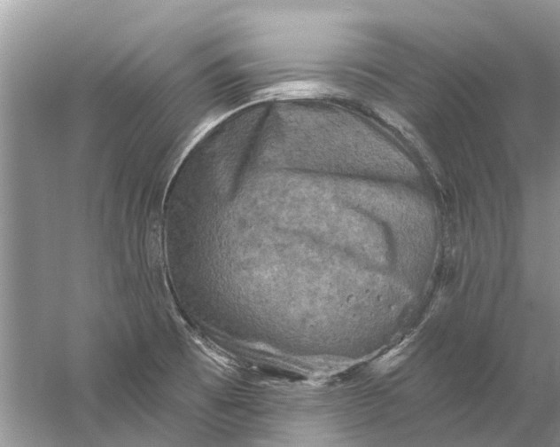 X0000061151473200512022301