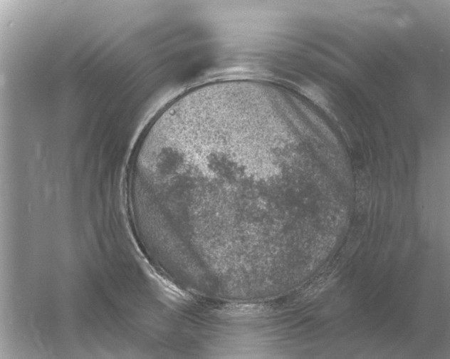 X0000061151474200512022301