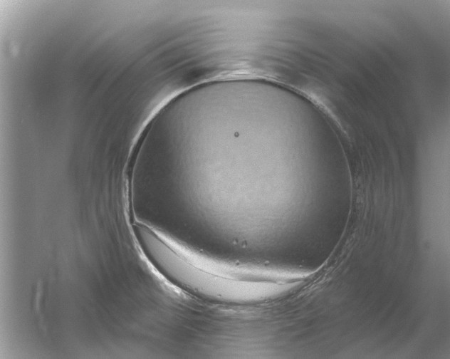 X0000061151476200512022301