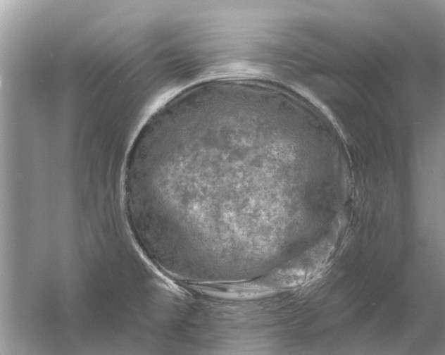 X0000061151477200512022301