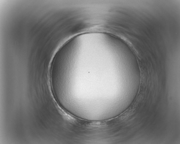 X0000061151478200512022301