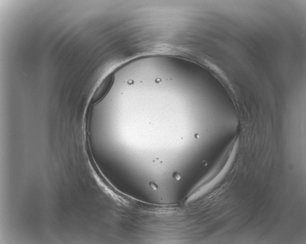 X0000061151479200512022301