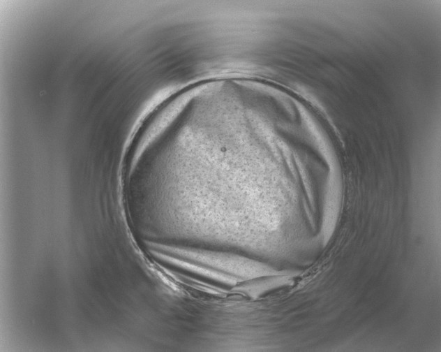 X0000061151480200512022301