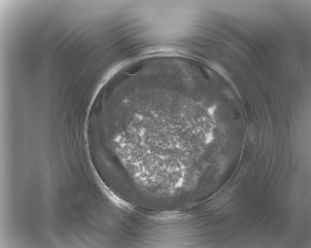 X0000061151482200512022301