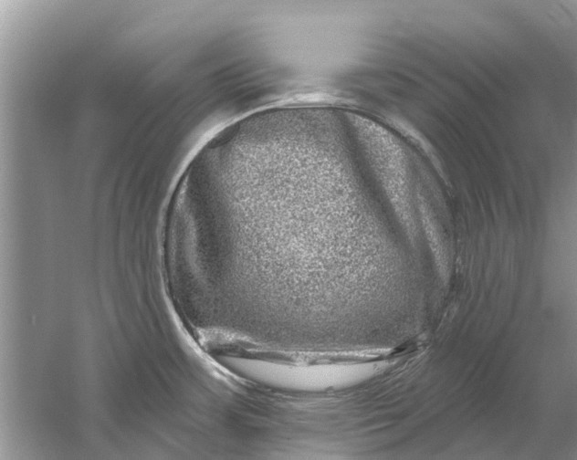 X0000061151483200512022301