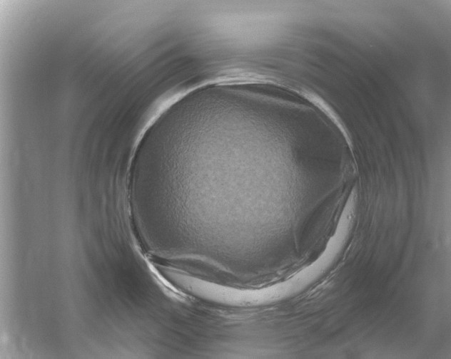 X0000061151485200512022301