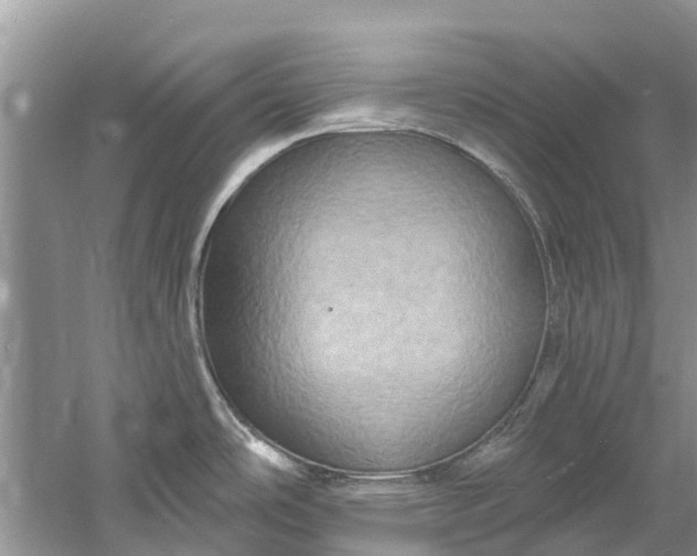 X0000061151486200512022301