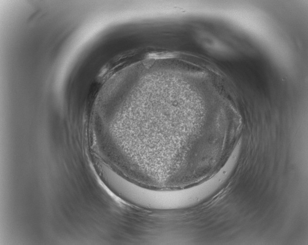 X0000061151487200512022301