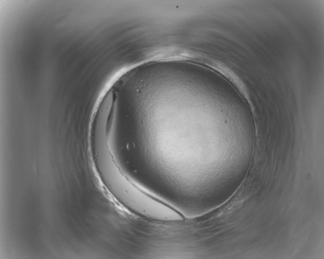 X0000061151488200512022301