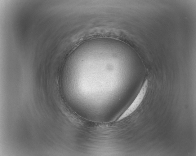 X0000061151489200512022300