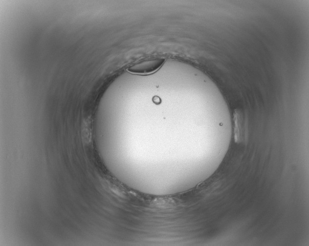 X0000061151491200512022300