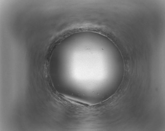 X0000061151493200512022300