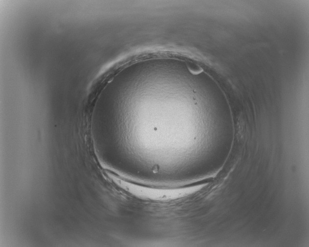 X0000061151494200512022300