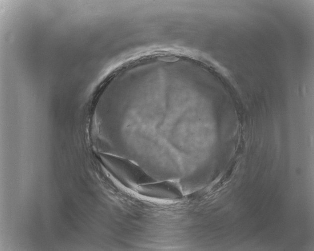 X0000061151496200512022300