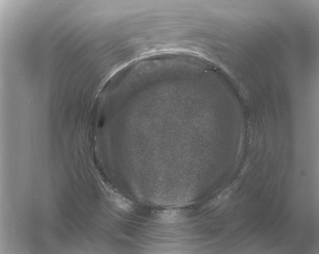 X0000061151497200512022300