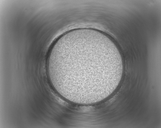 X0000061151498200512022300