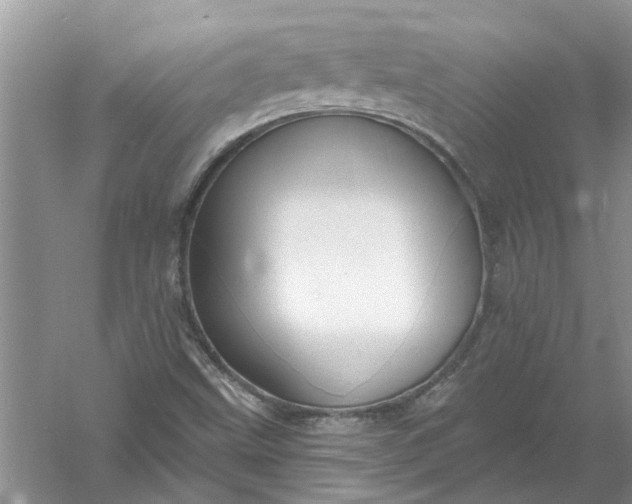 X0000061151499200512022300