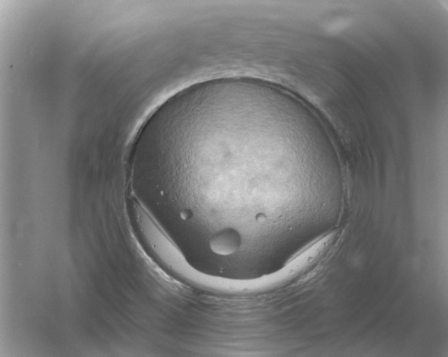 X0000061151500200512022300