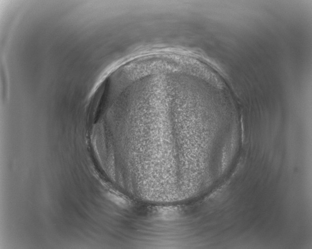 X0000061151501200512022300