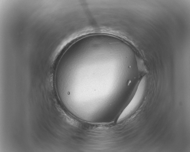 X0000061151503200512022300