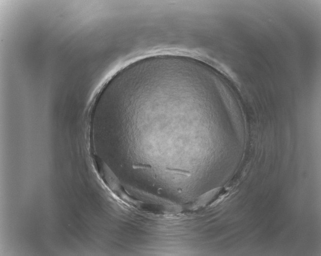 X0000061151504200512022300