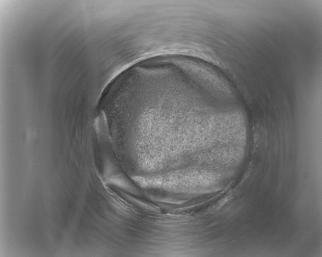 X0000061151505200512022300