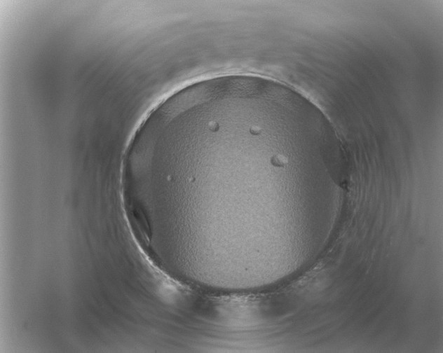 X0000061151508200512022300