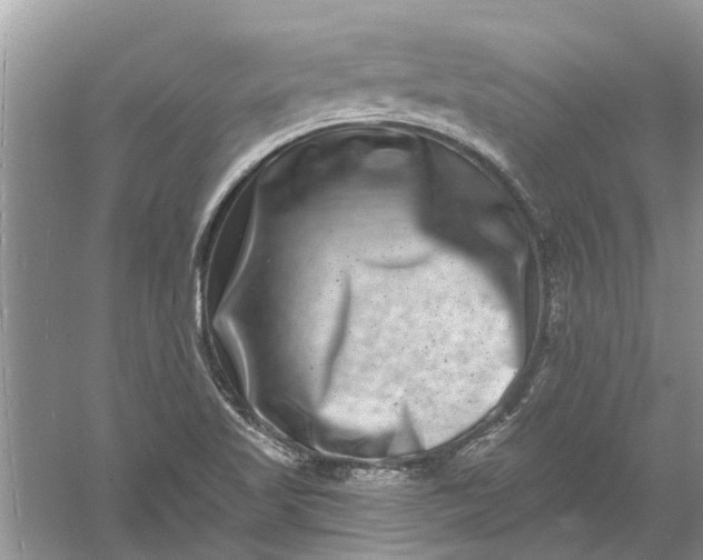 X0000061151509200512022300