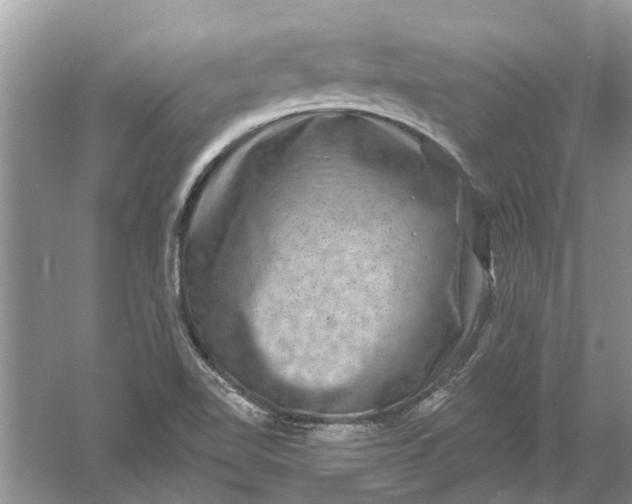 X0000061151510200512022300