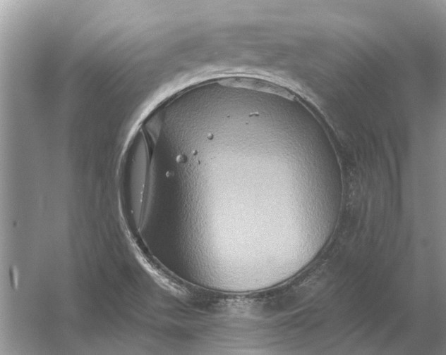 X0000061151511200512022300