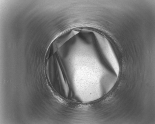 X0000061151513200512022300