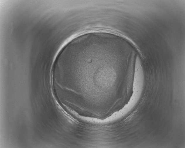 X0000061151514200512022300