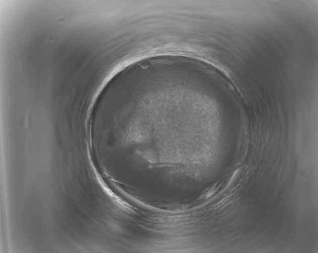 X0000061151515200512022300