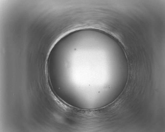 X0000061151516200512022300