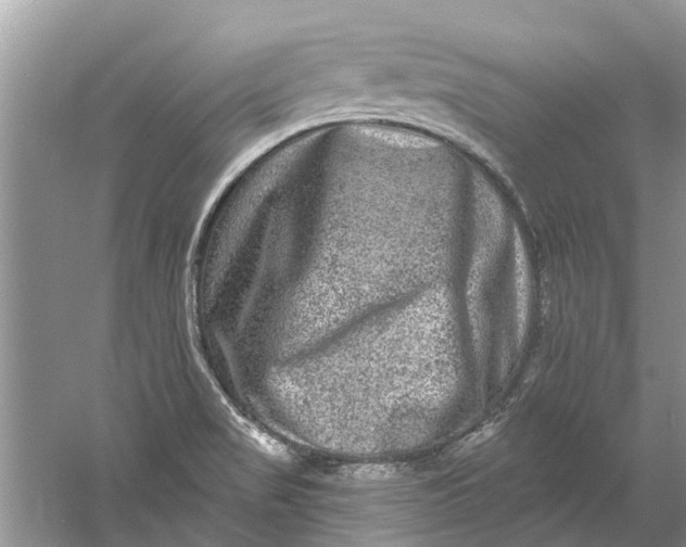 X0000061151517200512022300