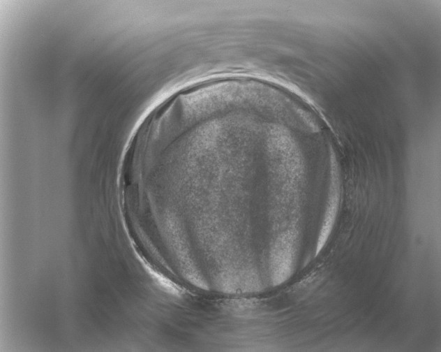 X0000061151519200512022300