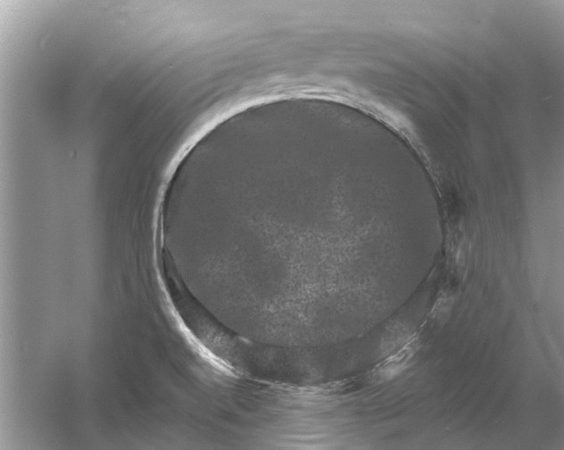 X0000061151520200512022300