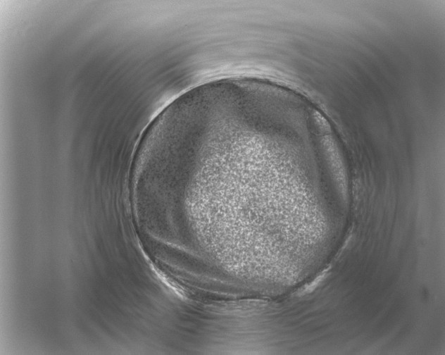 X0000061151521200512022300