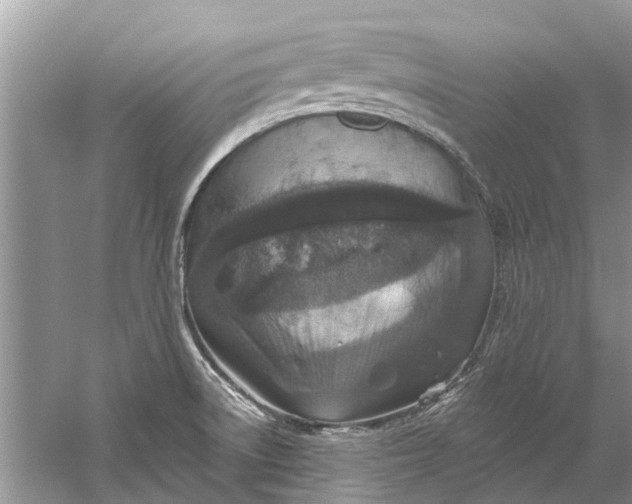 X0000061151522200512022300