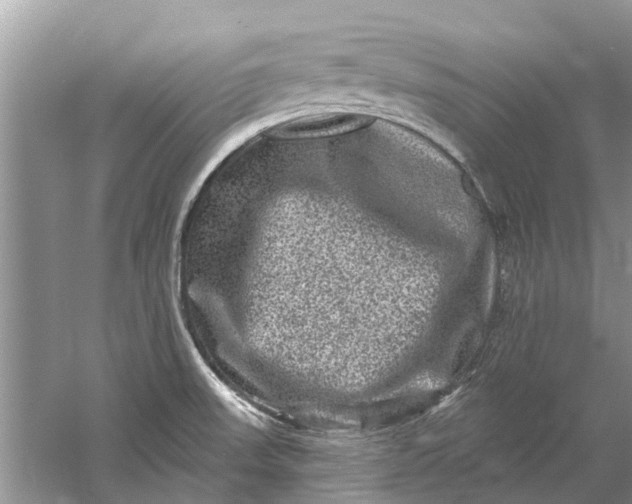 X0000061151523200512022300