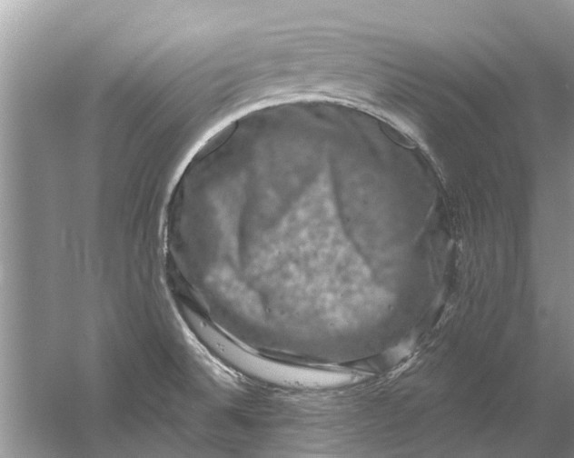 X0000061151524200512022300