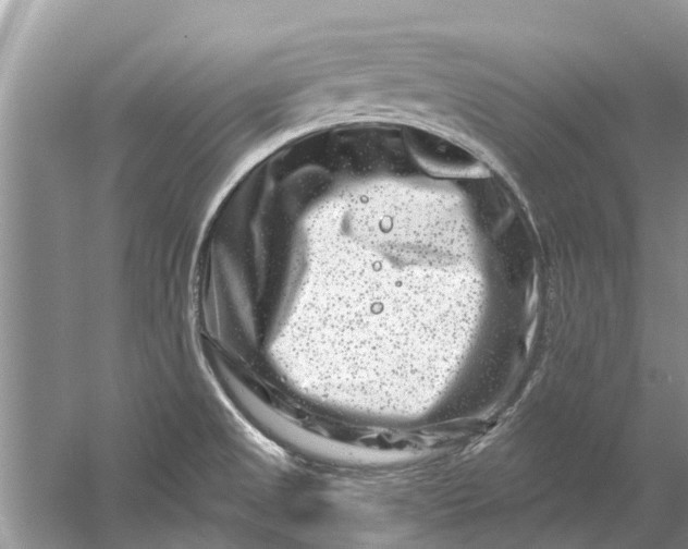 X0000061151525200512022300