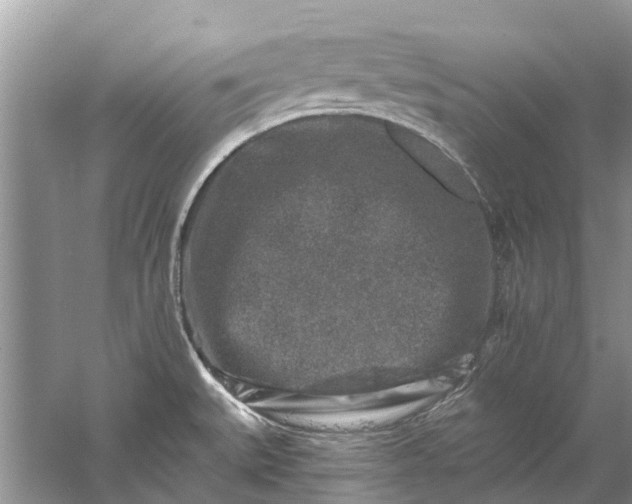 X0000061151527200512022301