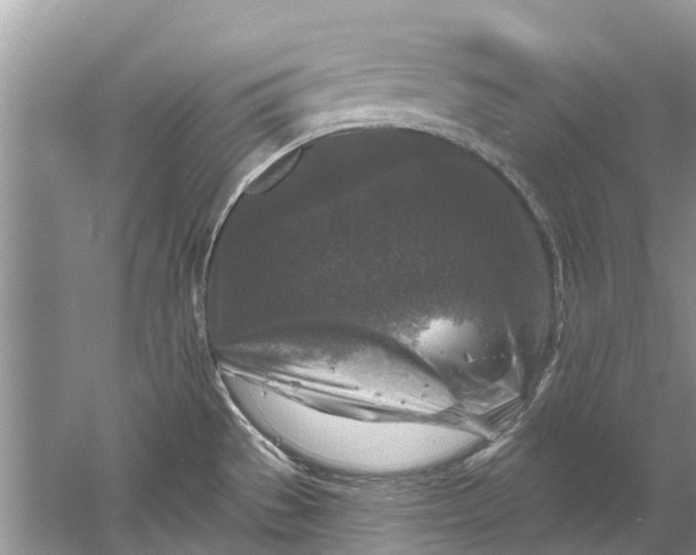 X0000061151529200512022301