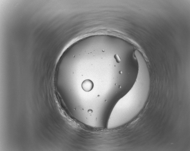 X0000061151530200512022301