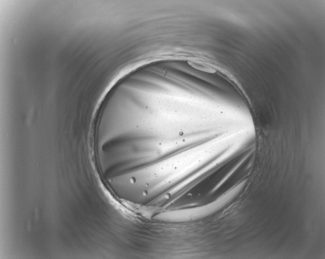 X0000061151531200512022301