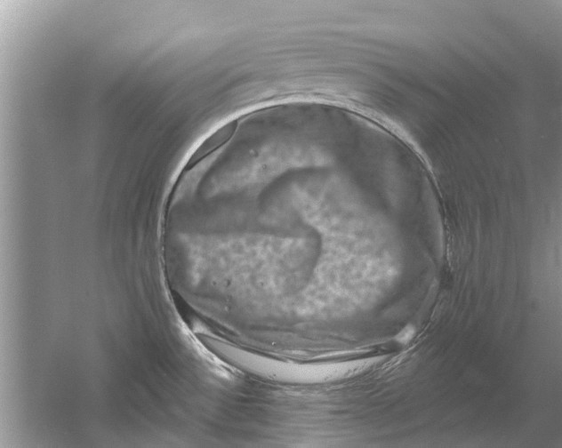 X0000061151532200512022301