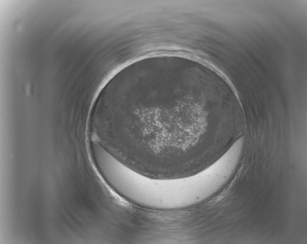 X0000061151533200512022301