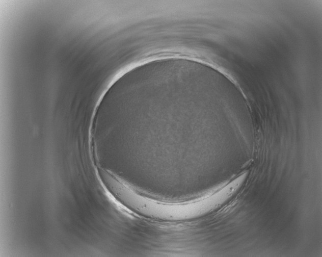 X0000061151535200512022301